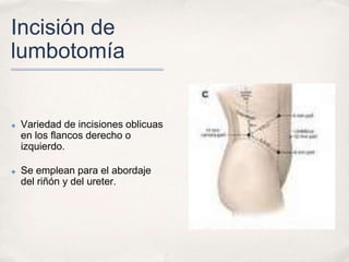 Incisión de
lumbotomía


✤   Variedad de incisiones oblicuas
    en los flancos derecho o
    izquierdo.

✤   Se emplean para el abordaje
    del riñón y del ureter.
 