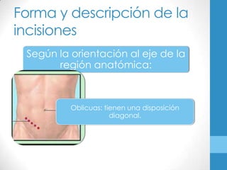 Forma y descripción de la
incisiones
 Según la orientación al eje de la
       región anatómica:



          Oblicuas: tienen una disposición
                      diagonal.
 