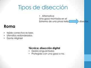 Tipos de disección
                              • Alternativa
                              Una gasa montada en el
                              Extremo de una pinza kelly   disector.

Roma
• tejido conectivo es laxo.
• Utensilios redondeados.
• Dante Alighieri



                      Técnica; disección digital
                      • Dedos enguantados
                      • Protegido con una gasa o no.
 