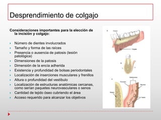 Desprendimiento de colgajo
Consideraciones importantes para la elección de
la incisión y colgajo:
 Número de dientes involucrados
 Tamaño y forma de las raíces
 Presencia o ausencia de patosis (lesión
patológica)
 Dimensiones de la patosis
 Dimensión de la encía adherida
 Existencia y profundidad de bolsas periodontales
 Localización de inserciones musculares y frenillos
 Altura o profundidad del vestíbulo
 Localización de estructuras anatómicas cercanas,
como serían paquetes neurovasculares o senos
 Cantidad de tejido óseo cubriendo el área
 Acceso requerido para alcanzar los objetivos
 