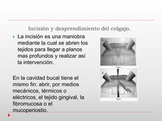 Incisión y desprendimiento del colgajo.
 La incisión es una maniobra
mediante la cual se abren los
tejidos para llegar a planos
mas profundos y realizar así
la intervención.
En la cavidad bucal tiene el
mismo fin: abrir, por medios
mecánicos, térmicos o
eléctricos, el tejido gingival, la
fibromucosa o el
mucoperiostio.
 