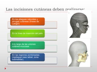 Las incisiones cutáneas deben realizarse:
En los pliegues naturales y
arrugas cutáneas (líneas de
Langor)
En la línea de inserción del pelo
A lo largo de las uniones
cutáneo-mucosas
En las regiones sombreadas
(repliegue naso labial, zona
submaxilar).
 