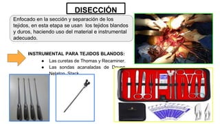 DISECCIÓN
Enfocado en la sección y separación de los
tejidos, en esta etapa se usan los tejidos blandos
y duros, haciendo uso del material e instrumental
adecuado.
INSTRUMENTAL PARA TEJIDOS BLANDOS:
● Las curetas de Thomas y Recaminer.
● Las sondas acanaladas de Doyen,
Nelaton, Stack.
 