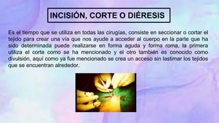 Es el tiempo que se utiliza en todas las cirugías, consiste en seccionar o cortar el
tejido para crear una vía que nos ayude a acceder al cuerpo en la parte que ha
sido determinada puede realizarse en forma aguda y forma roma, la primera
utiliza el corte como se ha mencionado y el otro también es conocido como
divulsión, aquí como ya fue mencionado se crea un acceso sin lastimar los tejidos
que se encuentran alrededor.
INCISIÓN, CORTE O DIÉRESIS
 