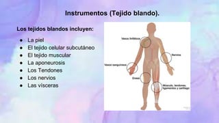 Instrumentos (Tejido blando).
Los tejidos blandos incluyen:
● La piel
● El tejido celular subcutáneo
● El tejido muscular
● La aponeurosis
● Los Tendones
● Los nervios
● Las vísceras
 
