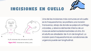 Y Incision Vst Tiempos quirurgicos DE LA CIRUGÍA,INCISION,HEMOSTASIA,DISECCIÓN ...