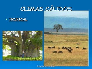 CLIMAS CÁLIDOS TROPICAL Inés Martínez Manuel 