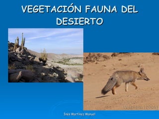 VEGETACIÓN FAUNA DEL DESIERTO Inés Martínez Manuel 