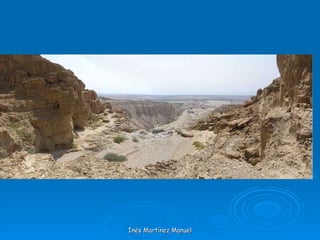 Inés Martínez Manuel 