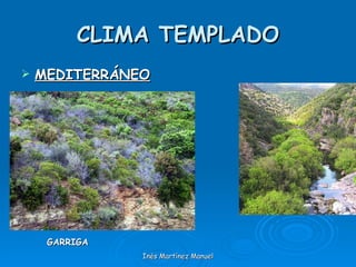 CLIMA TEMPLADO MEDITERRÁNEO Inés Martínez Manuel GARRIGA 