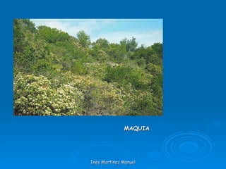 Inés Martínez Manuel MAQUIA 
