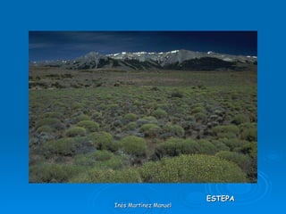 Inés Martínez Manuel ESTEPA 