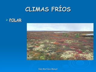 CLIMAS FRÍOS POLAR Inés Martínez Manuel 