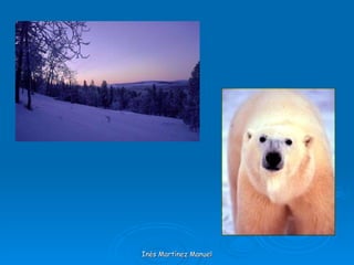 Inés Martínez Manuel 