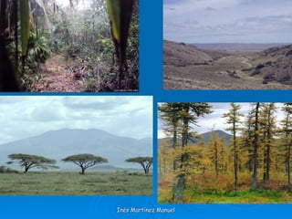 Inés Martínez Manuel 