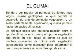 EL CLIMA:
Tiende a ser regular en períodos de tiempo muy
largos, incluso geológicos, lo que permite el
desarrollo de una determinada vegetación, y un
suelo perfectamente equilibrado, que nos permite
hablar de suelos climáticos.
De ahí que exista una estrecha relación entre el
tipo de clima de una zona y el tipo de vegetación
que crece en ella, hasta el punto de que en
muchas ocasiones se utiliza esta vegetación
característica como marcador para determinar si
una zona pertenece a uno u otro tipo de clima.
 