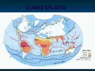 CLIMAS CÁLIDOSCLIMAS CÁLIDOS
 