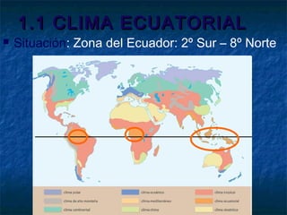 1.1 CLIMA ECUATORIAL1.1 CLIMA ECUATORIAL
 Situación: Zona del Ecuador: 2º Sur – 8º Norte
 