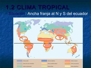 1.2 CLIMA TROPICAL1.2 CLIMA TROPICAL
 Situación: Ancha franja al N y S del ecuador
 