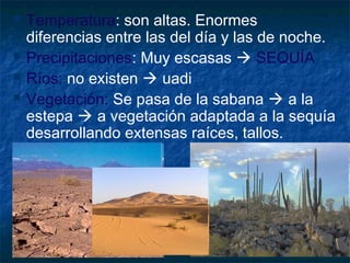  Temperatura: son altas. Enormes
diferencias entre las del día y las de noche.
 Precipitaciones: Muy escasas  SEQUÍA
 Ríos: no existen  uadi
 Vegetación: Se pasa de la sabana  a la
estepa  a vegetación adaptada a la sequía
desarrollando extensas raíces, tallos.
Xerófilas
 