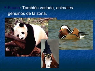  Fauna: También variada, animales
genuinos de la zona.
 