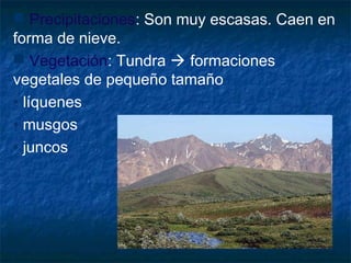 Precipitaciones: Son muy escasas. Caen en
forma de nieve.
 Vegetación: Tundra  formaciones
vegetales de pequeño tamaño
• líquenes
• musgos
• juncos
 
