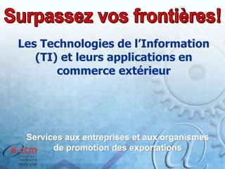 Services aux entreprises et aux organismes
de promotion des exportations
Les Technologies de l’Information
(TI) et leurs applications en
commerce extérieur
 