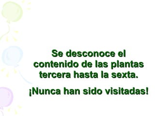 Se desconoce el contenido de las plantas tercera hasta la sexta. ¡Nunca han sido visitadas! 