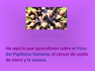 He aquí lo que aprendimos sobre el  Virus del Papiloma Humano , el cáncer de cuello de útero y  la vacuna . 