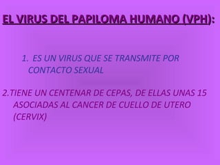 EL VIRUS DEL PAPILOMA HUMANO (VPH ): ES UN VIRUS QUE SE TRANSMITE POR CONTACTO SEXUAL 2.TIENE UN CENTENAR DE CEPAS, DE ELLAS UNAS 15 ASOCIADAS AL CANCER DE CUELLO DE UTERO (CERVIX) 