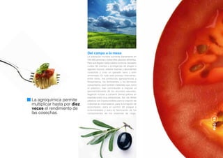 Del campo a la mesa
                             La población mundial aumenta diariamente en
                             245.000 personas y todas ellas precisan alimentos.
                             Para que lleguen hasta nuestra cocina es necesario
                             cuidar las plantas y protegerlas de plagas y
                             agentes nocivos, obtener buenas y abundantes
                             cosechas y criar un ganado sano y bien
                             alimentado. En todo este proceso intervienen,
                             entre otros, los productos agroquímicos y
                             fitosanitarios, los fertilizantes, y los fármacos
                             zoosanitarios, pero también materiales que, como
                             el plástico, han contribuido a mejorar el
                             aprovechamiento de los recursos naturales,
                             llegando incluso a convertir tierras pobres en
                             explotaciones muy productivas. Así, los filmes
La agroquímica permite       plásticos son imprescindibles para la creación de
multiplicar hasta por diez   cubiertas en invernaderos, para la formación de
                             acolchados, para el control de plagas y
veces el rendimiento de      enfermedades y para la fabricación de los
las cosechas.                componentes de los sistemas de riego.
 