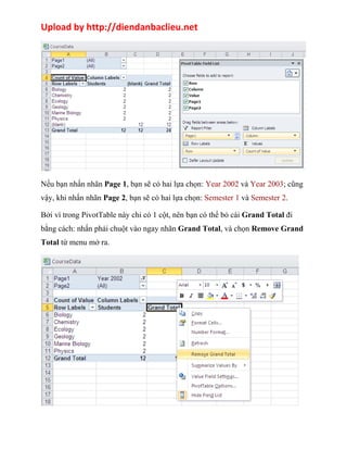 Upload by http://diendanbaclieu.net 
Nếu bạn nhấn nhãn Page 1, bạn sẽ có hai lựa chọn: Year 2002 và Year 2003; cũng 
vậy, khi nhấn nhãn Page 2, bạn sẽ có hai lựa chọn: Semester 1 và Semester 2. 
Bởi vì trong PivotTable này chỉ có 1 cột, nên bạn có thể bỏ cái Grand Total đi 
bằng cách: nhấn phải chuột vào ngay nhãn Grand Total, và chọn Remove Grand 
Total từ menu mở ra. 
 