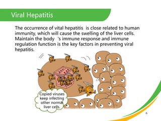Viral Hepatitis
6
The occurrence of vital hepatitis is close related to human
immunity, which will cause the swelling of the liver cells.
Maintain the body‘s immune response and immune
regulation function is the key factors in preventing viral
hepatitis.
Copied viruses
keep infecting
other normal
liver cells.
 