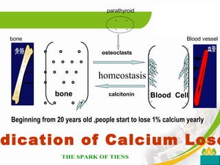 parathyroid
                                     .   .
                                     .   .
 bone                                                         Blood vessel

            。 。 。               osteoclasts
              。。。。
            。。 。。
            。 。。
                               homeostasis
            99%

            骨骼牙齿bone              calcitonin     Blood Cell
            。。       。。

 Beginning from 20 years old ,people start to lose 1% calcium yearly


dication of Calcium Lose
 