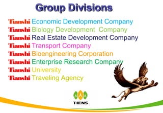 Tianshi Economic Development Company
Tianshi Biology Development Company
Tianshi Real Estate Development Company
Tianshi Transport Company
Tianshi Bioengineering Corporation
Tianshi Enterprise Research Company
Tianshi University
Tianshi Traveling Agency
 