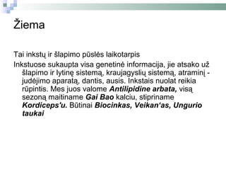 Žiema

Tai inkstų ir šlapimo pūslės laikotarpis
Inkstuose sukaupta visa genetinė informacija, jie atsako už
   šlapimo ir lytinę sistemą, kraujagyslių sistemą, atraminį -
   judėjimo aparatą, dantis, ausis. Inkstais nuolat reikia
   rūpintis. Mes juos valome Antilipidine arbata, visą
   sezoną maitiname Gai Bao kalciu, stipriname
   Kordiceps'u. Būtinai Biocinkas, Veikan‘as, Ungurio
   taukai
 