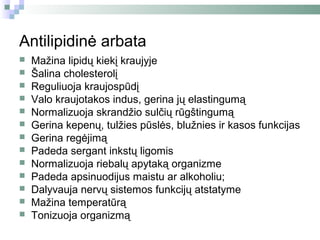 Antilipidinė arbata
   Mažina lipidų kiekį kraujyje
   Šalina cholesterolį
   Reguliuoja kraujospūdį
   Valo kraujotakos indus, gerina jų elastingumą
   Normalizuoja skrandžio sulčių rūgštingumą
   Gerina kepenų, tulžies pūslės, blužnies ir kasos funkcijas
   Gerina regėjimą
   Padeda sergant inkstų ligomis
   Normalizuoja riebalų apytaką organizme
   Padeda apsinuodijus maistu ar alkoholiu;
   Dalyvauja nervų sistemos funkcijų atstatyme
   Mažina temperatūrą
   Tonizuoja organizmą
 