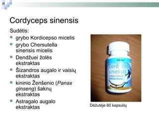 Cordyceps sinensis
Sudėtis:
 grybo Kordicepso micelis
 grybo Chersutella
  sinensis micelis
 Dendžuei žolės
  ekstraktas
 Šizandros augalo ir vaisių
  ekstraktas
 kininio Ženšenio (Panax
  ginseng) šaknų
  ekstraktas
 Astragalo augalo
                               Dėžutėje 60 kapsulių
  ekstraktas
 