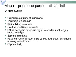 Maca – priemonė padedanti stiprinti
organizmą
   Organizmą stiprinanti priemonė
   Tonizuojantis efektas
   Didina lytinę potenciją
   Greitina medžiagų apykaitą
   Lėtina senėjimo procesus reguliuoja vidaus sekrecijos
    liaukų funkcijas
   Stiprina imunitetą
   Naudojamas reabilitacijai po sunkių ligų, esant chroniško
    nuovargio sindromui
   Stiprina širdį
 