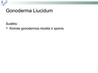 Gonoderma Liucidum

Sudėtis:
 Kininės gonodermos micelis ir sporos
 