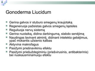Gonoderma Liucidum
   Gerina galvos ir stuburo smegenų kraujotaką
   Regeneruoja pažeistas galvos smegenų ląsteles
   Reguliuoja nervų sistemą
   Gerina nuotaiką, didina darbingumą, stabdo senėjimą
   Naudingas lavinant atmintį, didinant intelekto gebėjimus,
    ypač mokantis užsienio kalbas
   Aktyvina makrofagus
   Pasižymi priešnavikiniu efektu
   Pasižymi priešuždegiminiu (priešvirusinis, antibakterinis)
    bei nuskausminamuoju efektu
 