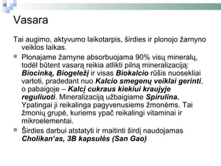Vasara
Tai augimo, aktyvumo laikotarpis, širdies ir plonojo žarnyno
  veiklos laikas.
 Plonajame žarnyne absorbuojama 90% visų mineralų,
  todėl būtent vasarą reikia atlikti pilną mineralizaciją:
  Biocinką, Biogeležį ir visas Biokalcio rūšis nuosekliai
  vartoti, pradedant nuo Kalcio smegenų veiklai gerinti,
  o pabaigoje – Kalcį cukraus kiekiui kraujyje
  reguliuoti. Mineralizaciją užbaigiame Spirulina.
  Ypatingai ji reikalinga pagyvenusiems žmonėms. Tai
  žmonių grupė, kuriems ypač reikalingi vitaminai ir
  mikroelementai.
 Širdies darbui atstatyti ir maitinti širdį naudojamas
  Cholikan‘as, 3B kapsulės (San Gao)
 
