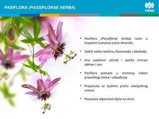 ZINC and its influence on human bodyPASIFLORA (PASSIFLORAE HERBA)
• Pasiflora (Passiflorae herba) raste u
tropskim šumama Južne Amerike.
• Sadrži veliku količinu flavonoida i alkaloida.
• Ima sedativni učinak i potiče mirnan
odmor i san.
• Pasiflora pomaže u smirenju nakon
prevelikog stresa i uzbuđenja.
• Preporuča se ljudima protiv višetjednog
umora.
• Povećava otpornost tijela na stres.
 
