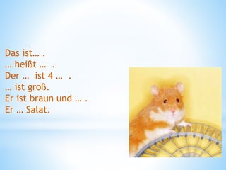 Das ist… .
… heißt … .
Der … ist 4 … .
… ist groß.
Er ist braun und … .
Er … Salat.