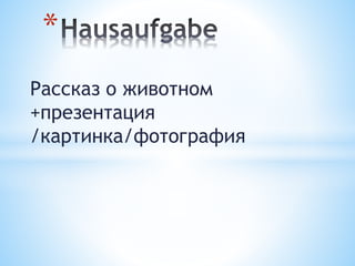 Рассказ о животном
+презентация
/картинка/фотография
*