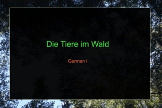 Die Tiere im Wald German I 