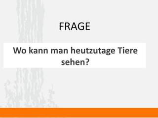Wo kann man heutzutage Tiere
sehen?
FRAGE
 