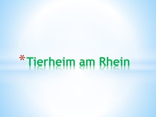 *Tierheim am Rhein
 