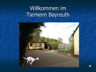 Willkommen im Tierheim Bayreuth 