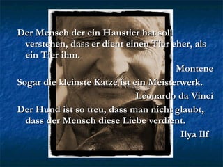 Der Mensch der ein Haustier hat soll verstehen, dass er dient einen Tier eher, als ein Tier ihm.  Montene Sogar die kleinste Katze ist ein Meisterwerk. Leonardo da Vinci Der Hund ist so treu, dass man nicht glaubt,  dass der Mensch diese Liebe verdient. Ilya Ilf  